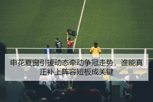 申花夏窗引援动态牵动争冠走势，谁能真正补上阵容短板成关键